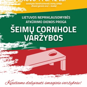 kovo-11-juodupeje_1771852222-f18ad512af07cfe6c14111a6a5f5b342.jpg