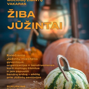 ziba-juzintai-2025_1760108387-51a70719df724797cc258cf84cb4e1be.jpg